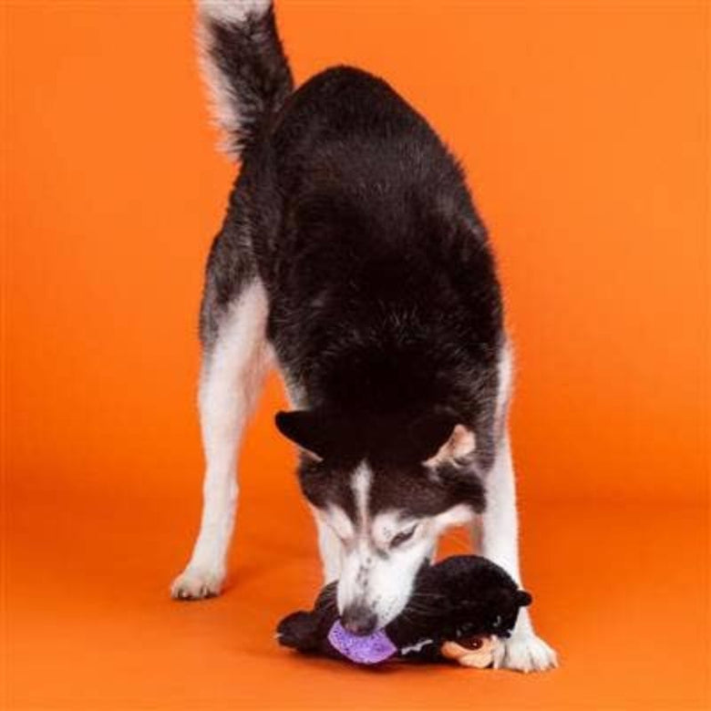 PetShop by Fringe Studio dog toys Halloween It Be Like Bat Purple Winged Sloth Crinkle Plush Squeak Dog Toy
