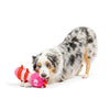 Huxley & Kent dog toys Fetchies Love Bug Plush Dog Toy