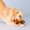 Makin' Waves Summer Beach Surf Sloth Plush Squeaky Dog Toy