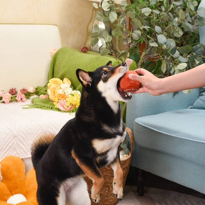 Hugsmart Products Inc dog toys Food Party Ham Ball Dog Toy