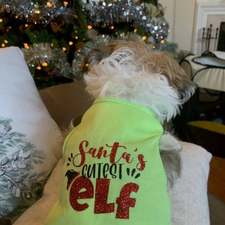 House of FurBaby House of FurBaby - Holiday Pet Shirt and Tutu | Santa's Cutest Elf: Green / XXS- under 3 lbs / Tee Only