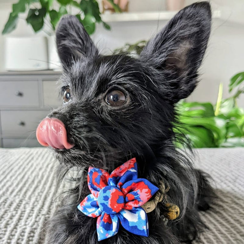 Huxley & Kent Bow Tie American Tie Dye Pinwheel Pet Collar Attachment - 2 Sizes