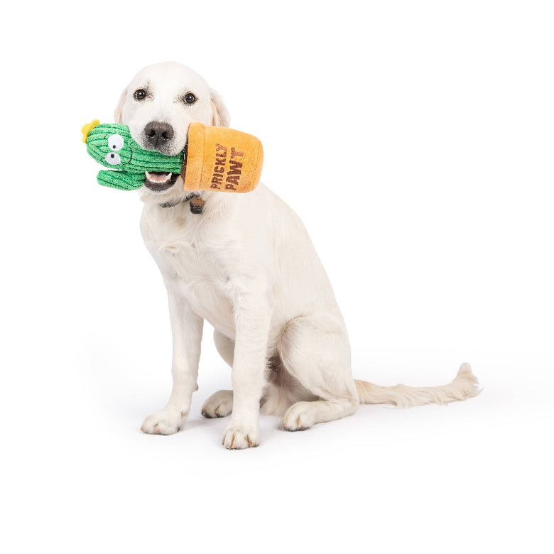 Huxley & Kent Huxley & Kent - Seek 'n Treat Prickly Pawt Dog Toy: Small