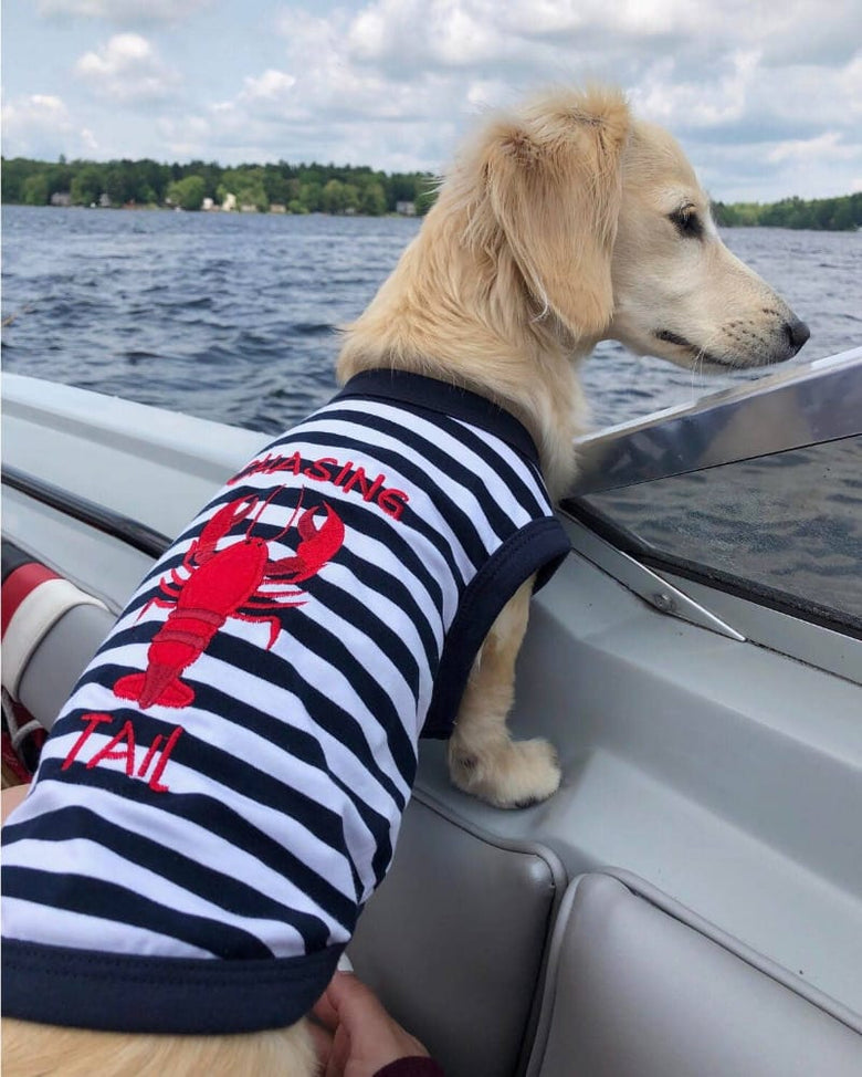 Parisian Pet® Tee's Red Lobster Striped Chasing Tail Summer Vibe Dog T-Shirt