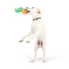 Huxley & Kent Huxley & Kent - Seek 'n Treat Prickly Pawt Dog Toy: Small