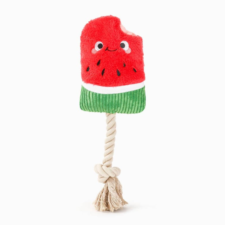 Hugsmart Products Inc dog toys Summer Watermelon Popsicle Rope Tug Plush Dog Toy