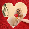 Hugsmart Products Inc Dog Toys Woof Love "You're A Gem" Ruby Red Ring Plush Ball Dog Toy