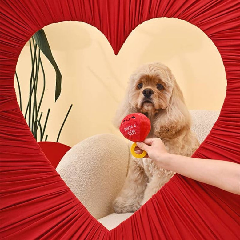 Hugsmart Products Inc Dog Toys Woof Love "You're A Gem" Ruby Red Ring Plush Ball Dog Toy