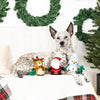 PetShop by Fringe Studio Toys Christmas Crew Holiday Plush Squeak Dog Toy Set
