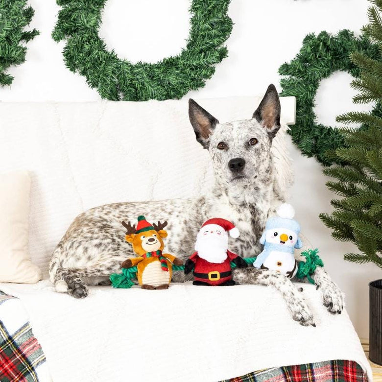 PetShop by Fringe Studio Toys Christmas Crew Holiday Plush Squeak Dog Toy Set