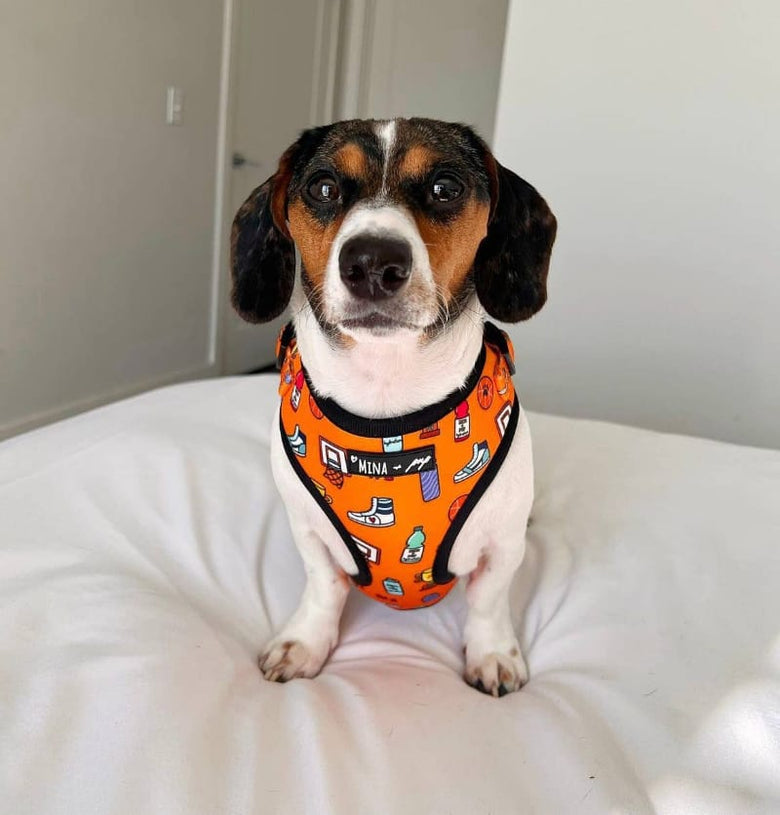 Mina + Pup Harnesses Got Game? Basketball and Sports Orange Adjustable Pet Harness