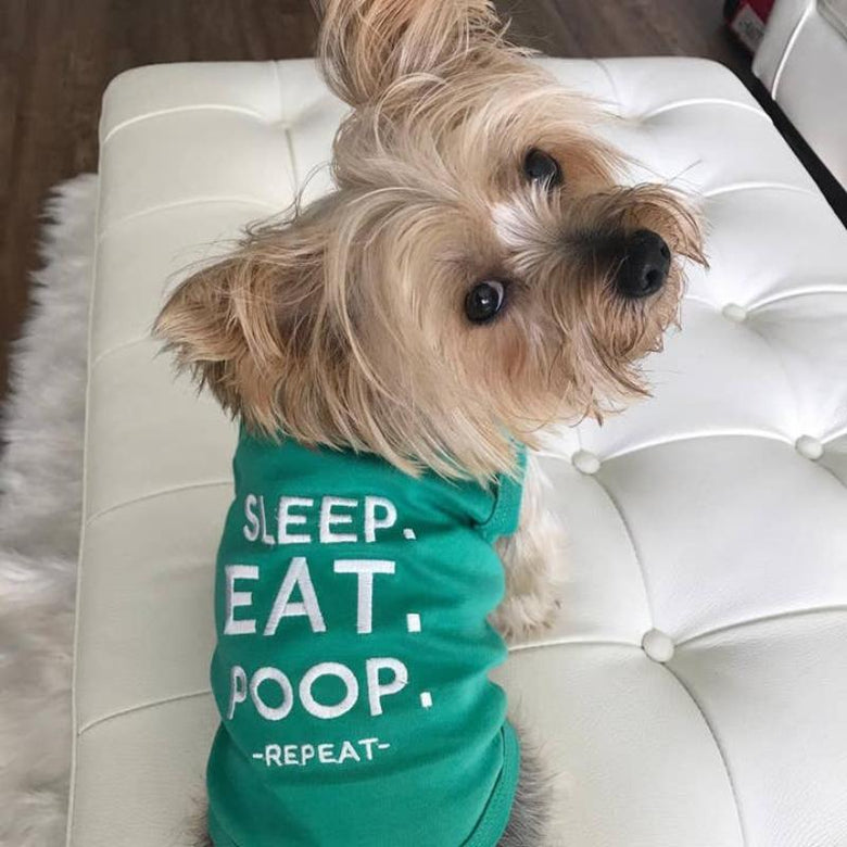 Parisian Pet Tee's Sleep Eat P00p Dog Tee