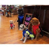 Doggie Design, Inc Alpine All Weather Coats Alpine All-Weather Dog Coat - Red and Black
