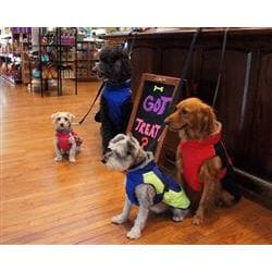 Doggie Design, Inc Alpine All Weather Coats Alpine All-Weather Dog Coat - Red and Black