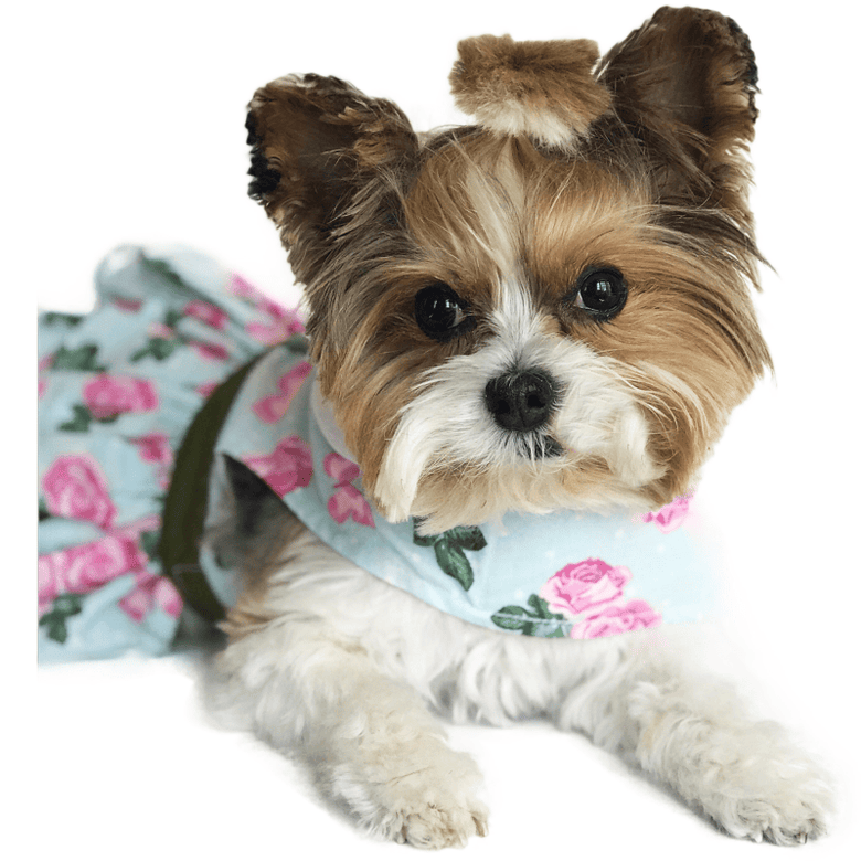 Doggie Design Dog Apparel Pink Rose Embroidered Collar Dog Harness Dress & Matching Leash