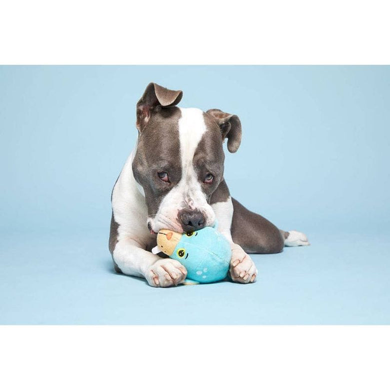 BARK dog toys Wallace the Walrus Plush Blue Squeak Dog Toy