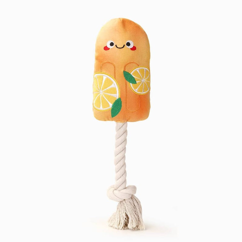 Hugsmart Products Inc dog toys Beach Daze Orange Popsicle Rope Plush Dog Toy