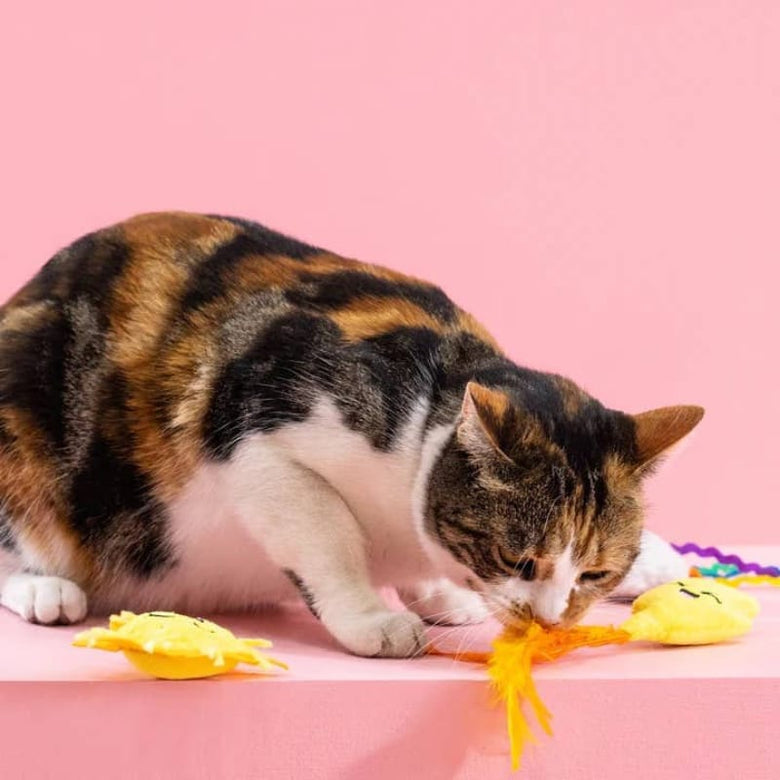 Petshop by Fringe Studio Cat Toys Purr-fect Weather Plush Summer Cat Toy Set - 3pc