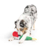 Christmas Holiday Let's Get Lit Gnome Plush Squeaky Dog Toy - Lg