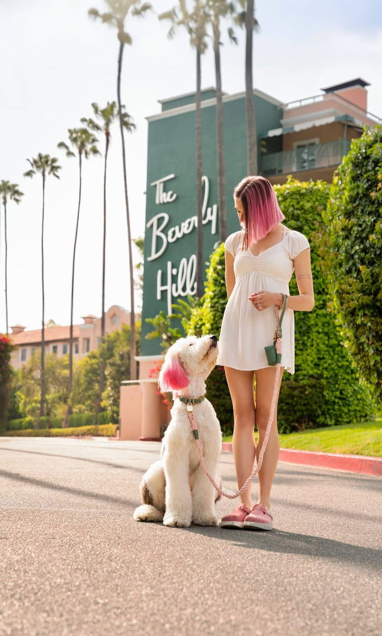 Neighborwoof Leashes Beverly Hills Rope Soft Pink & Green Handcrafted Leather Gold Hardware Dog Leash