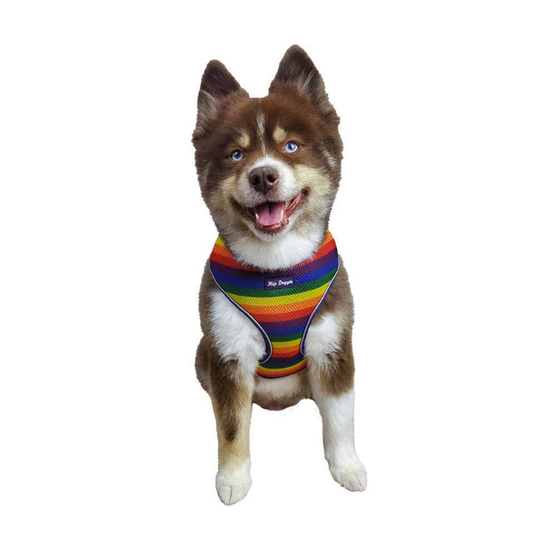 Barker's Bowtique Barker's Bowtique - Hip Doggie Ultra Comfort Harness Vest - Rainbow Pride: XS