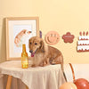 Hugsmart Products Inc dog toys Yappy Birthday Wine TPR Rubber Bottle Dog Toy