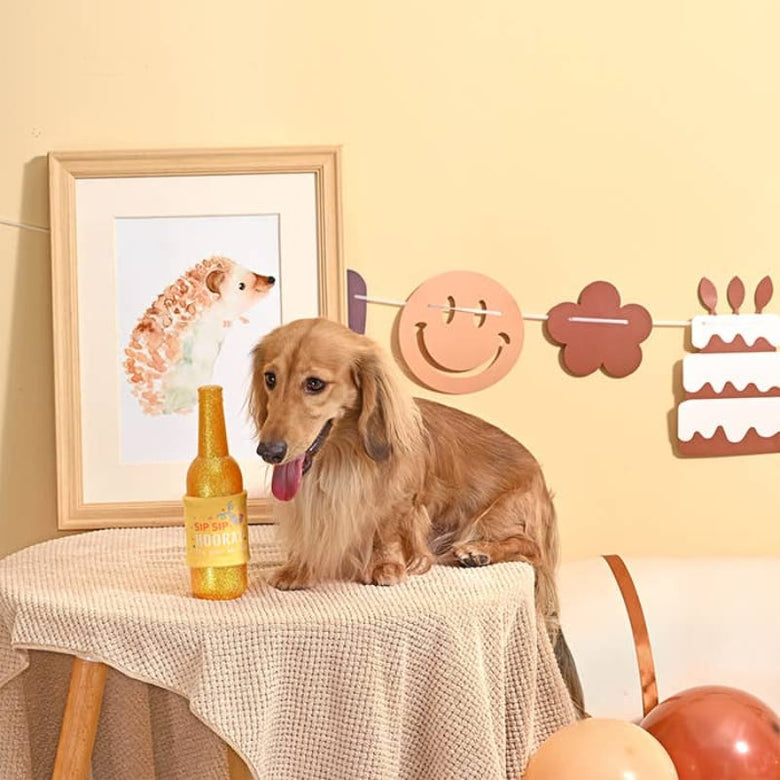 Hugsmart Products Inc dog toys Yappy Birthday Wine TPR Rubber Bottle Dog Toy