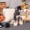 Hugsmart Products Inc dog toys Howloween Night Witches Brew Plush Dog Toy Set - 3 Pc
