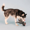 PetShop by Fringe Studio dog toys Rocker Masked Rex Red Guitar Plush Squeak Dog Toy