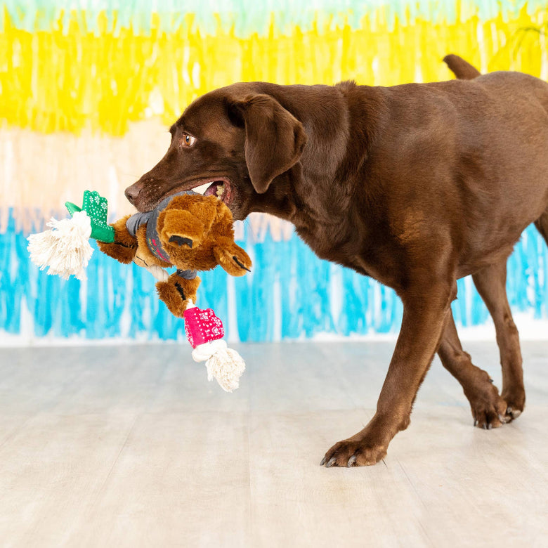 Tacos & Tequila Fiesta Sloth Plush Squeaky Rope Dog Toy