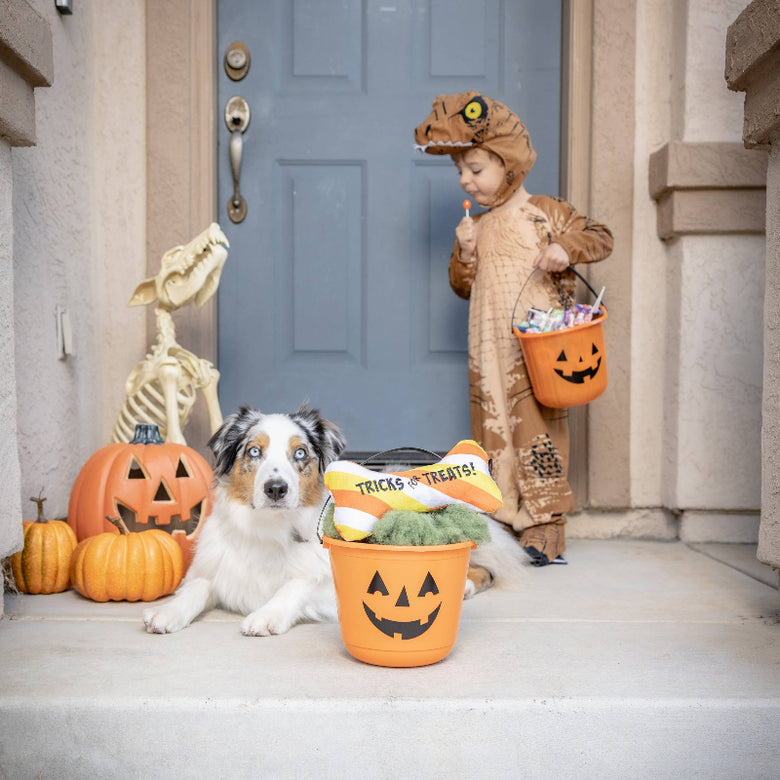 Halloween Tricks for Treats Fall Plush Squeaky Bone Dog Toy