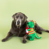 Petshop by Fringe Studio dog toys Fiesta Saurus Mustache Rex Plush Squeak Dog Toy