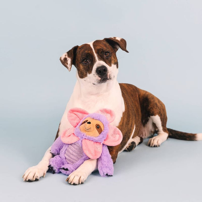 Petshop by Fringe Studio dog toys "I'll Grow On You" Pink Flower Purple Sloth Plush Dog Toy