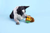 BARK dog toys Super Chewer Fowl Play Rooster Interactive Plush Rubber Treat Dog Chew Toy