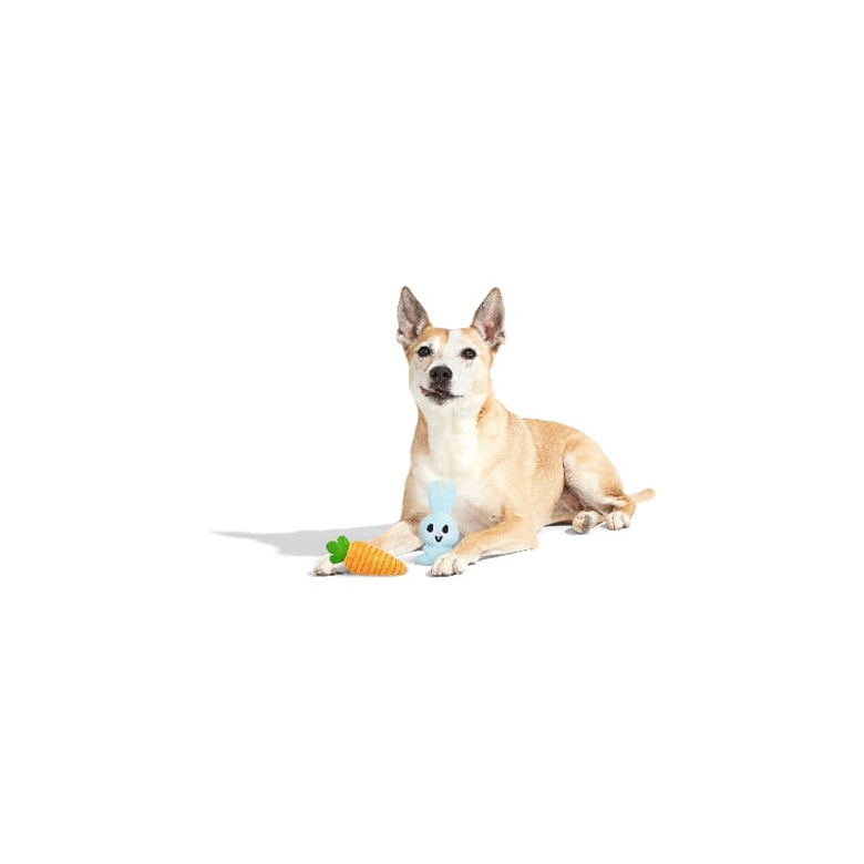 BARK dog toys Easter Harriet & Carrot Spring Plush Squeak Dog Toy Set - 2 Pc