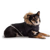 GF Pet Jackets Black Elasto-Fit Urban Dog Parka