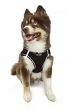 Barker's Bowtique Barker's Bowtique - Hip Doggie - EZ Step-In Harness Vest - Brown: XXS