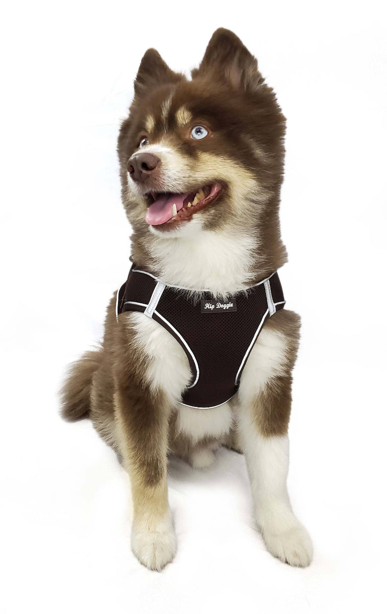 Barker's Bowtique Barker's Bowtique - Hip Doggie - EZ Step-In Harness Vest - Brown: XXS