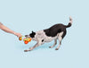 BARK dog toys Hairloom Tomatoes Plush Squeak Rope Tug Dog Toy