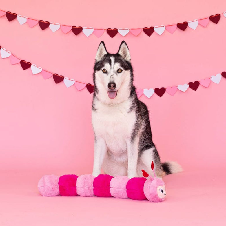 Petshop by Fringe Studio dog toys Love Bug Heart Pink Large Plush Dog Toy