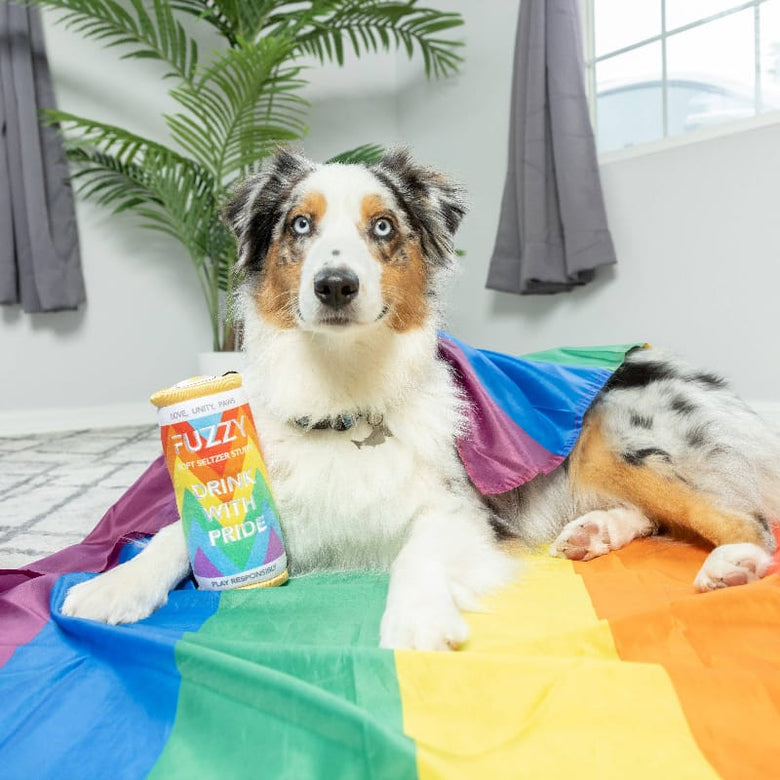 Huxley & Kent dog toys Fuzzy Soft Seltzer Rainbow Pride Plush Squeaky Dog Toy - 2 Sizes