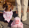 Pink Cowgirl Western Hat Plush Squeaky Dog Toy