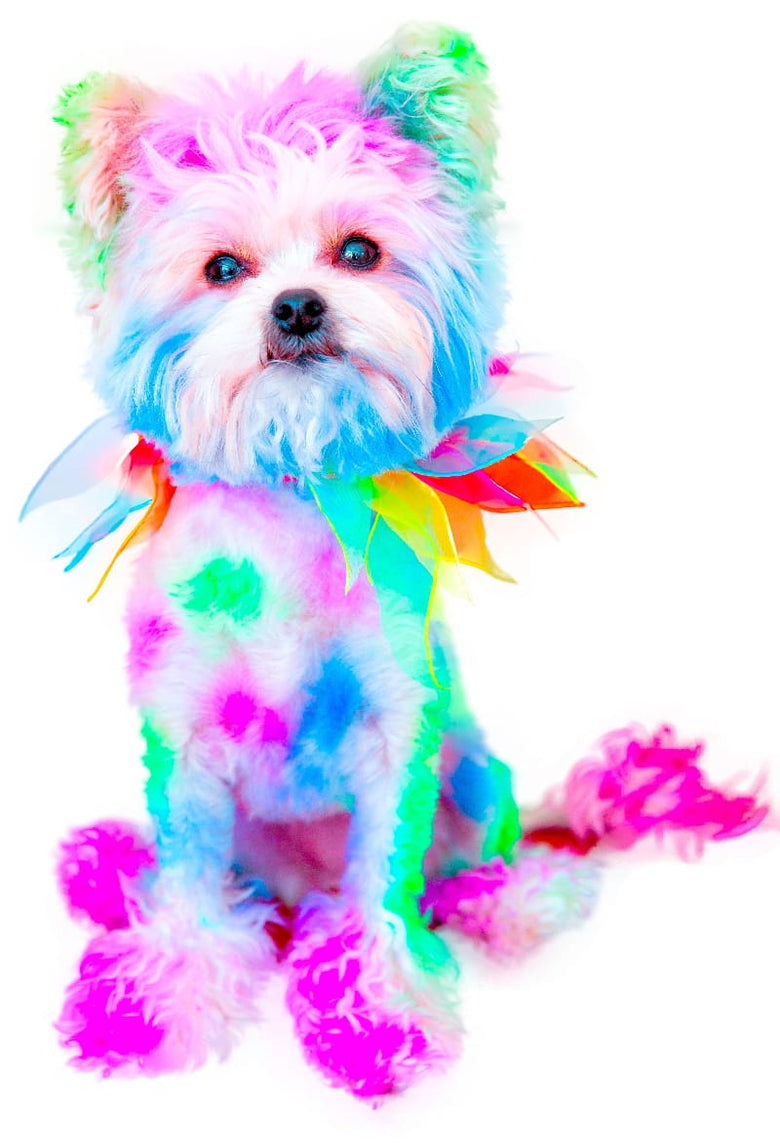 Warren London Spa Product Canine Color Semi Perm Coat Color Shampoo for Dogs