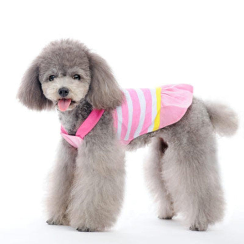 Dogo Pet DRESSES XXS Pink Stripe Bow Strap Cruise Dog Dress - Only Available in Size 2XS