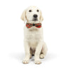 Huxley & Kent Bow Ties Shiny Christmas Holiday Red Plaid Bow Tie Pet Collar Attachment - 2 Sizes