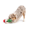 Christmas Holiday Seek 'n Treat Prickly & Bright Pawt Plush Squeaky Dog Toy