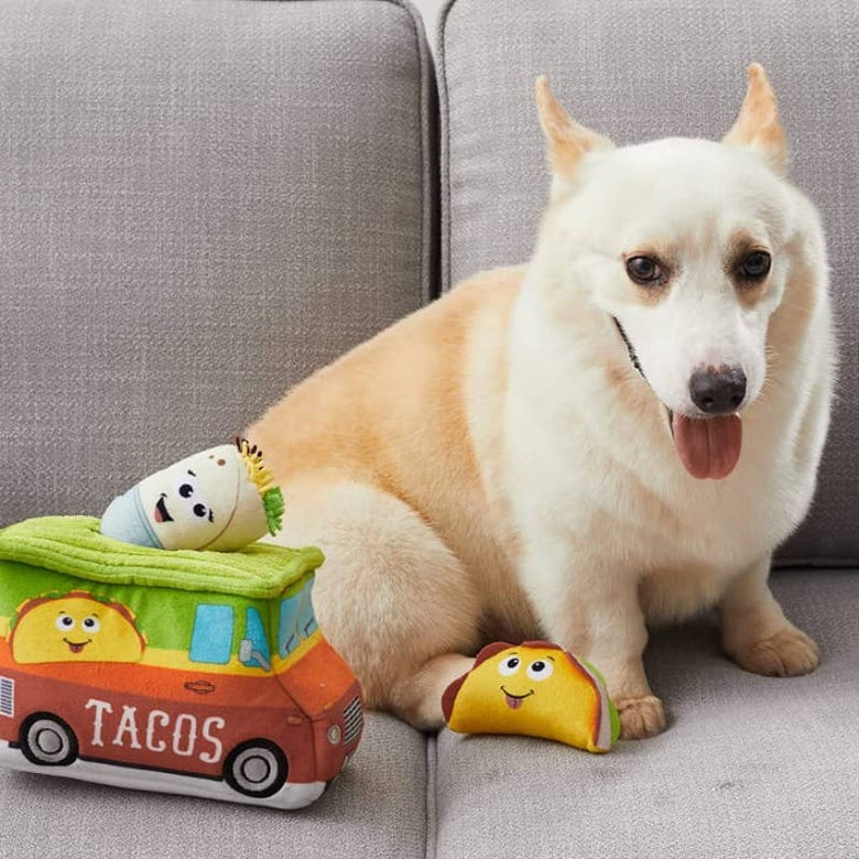 Outward Hound dog toys Hide A Taco Truck Multi Color Interactive Dog Toy