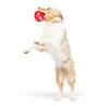 Huxley & Kent dog toys Fur Bug Plush Dog Toy