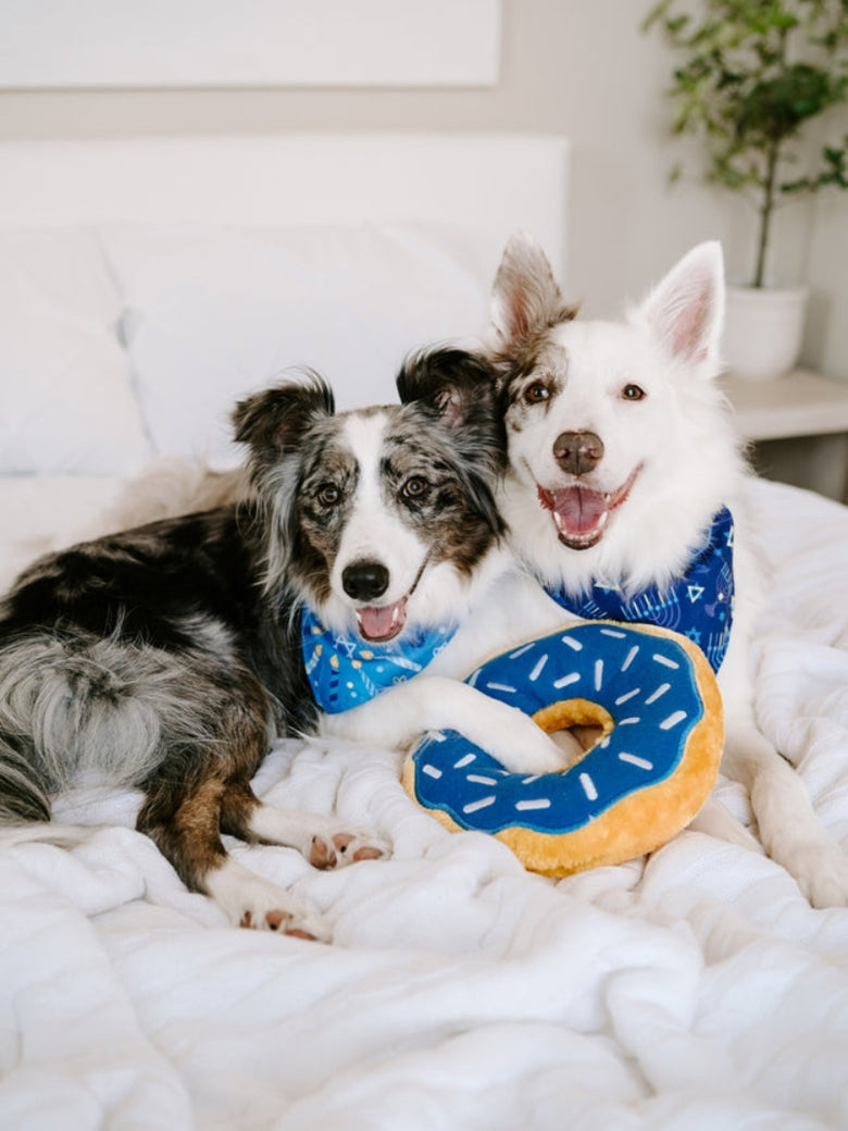 Hanukkah Jumbo Donutz Plush Blue Squeaky Holiday Dog Toy