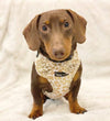 Mina + Pup Bow Tie You're So Golden Leopard Gold Bow Tie Dog Collar Attachment